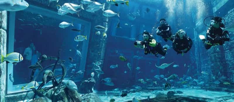 Billet Dubaï : expérience de plongée à l'aquarium Lost World Atlantis