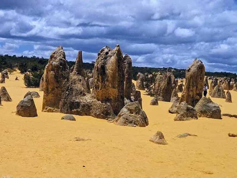 Billet Perth : visite d'une journée privée au désert des Pinnacles et aux dunes de sable