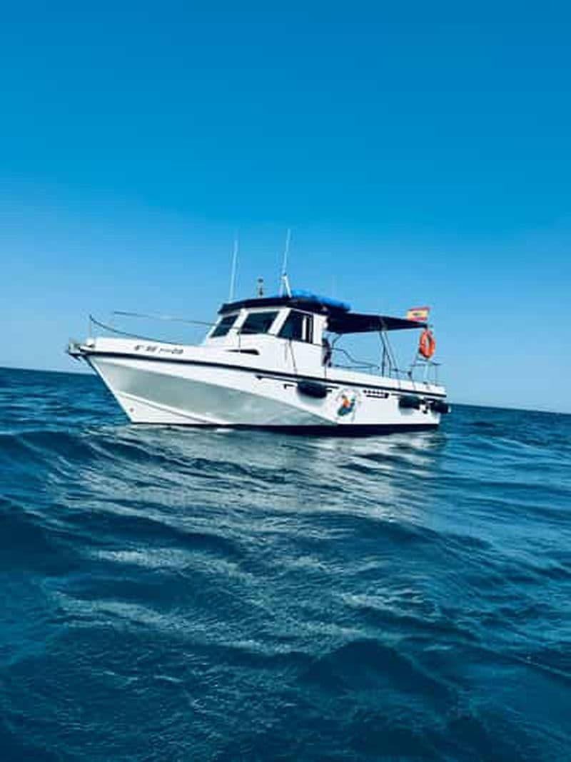 Billet Benalmádena : excursion privée en bateau – dauphins, boissons et collations