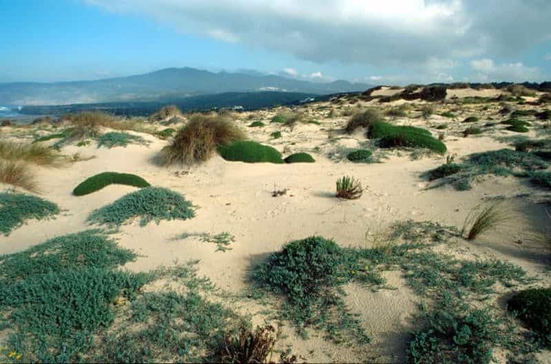 Billet Sintra Cascais Top trekking