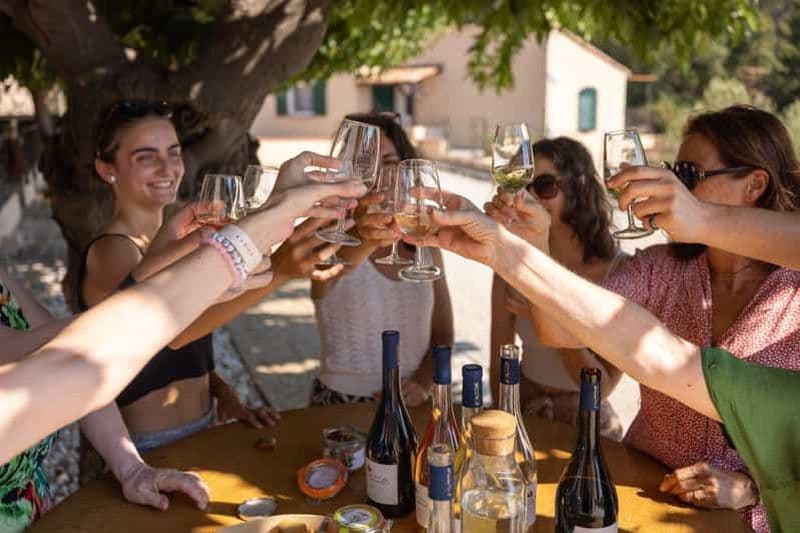 Billet Visite oenoludique - Le Pradet