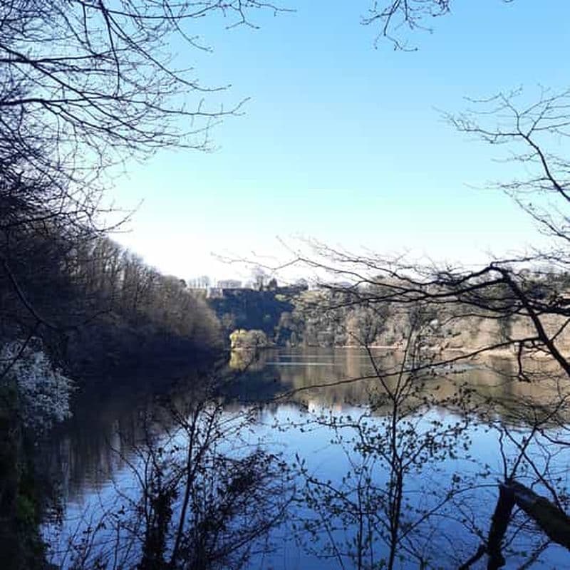 Billet Une journée de randonnée dans la forêt de Mervent (Vendée)