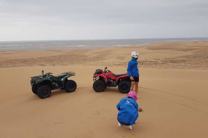 Billet Essaouira P3 : excursion en quad, forêt, plage, dunes (transfert gratuit)