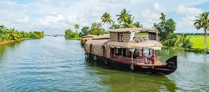 Billet Cochin : safari dans la réserve naturelle de Periyar avec tour en bateau