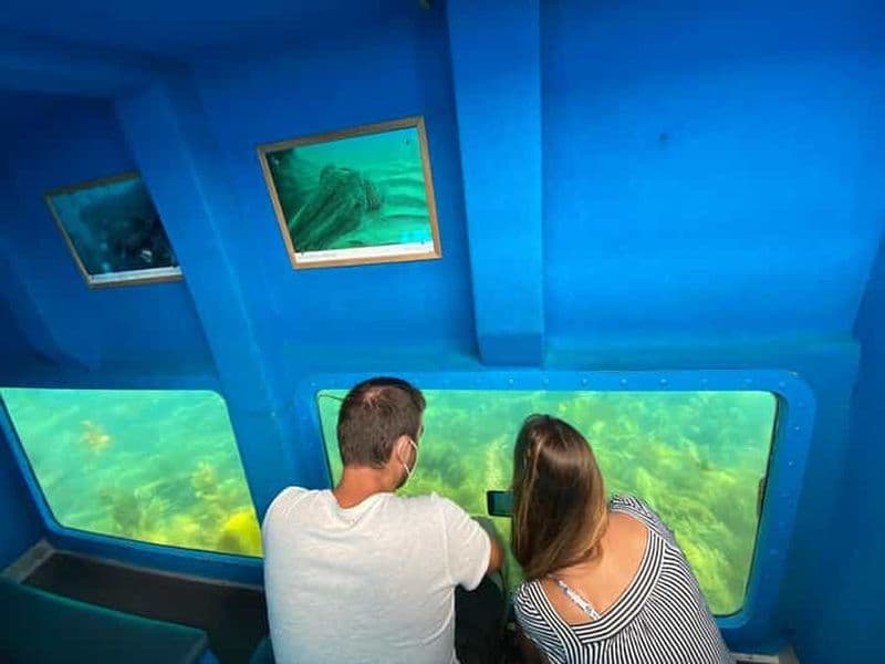 Billet Sesimbra : tour en bateau pour les familles avec vision sous-marine