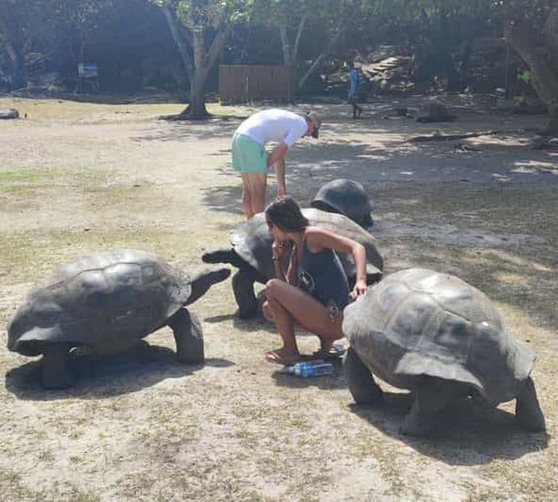 Billet Visite guidée de Curieuse, Saint-Pierre, barbecue et 2 arrêts snorkeling