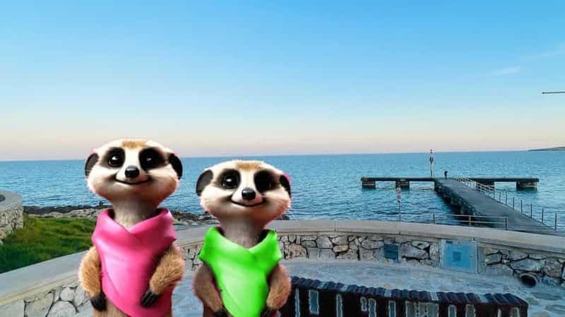 Billet Palma : les créatures magiques de Palma, un jeu familial passionnant