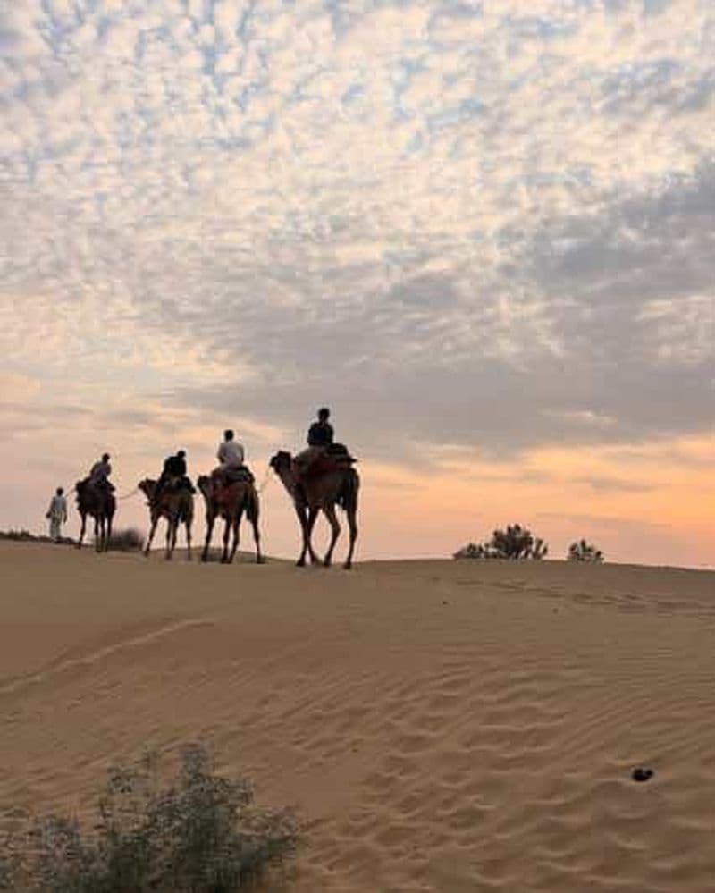 Billet Rose du désert Jaisalmer : Nuitée au milieu du désert de Thar