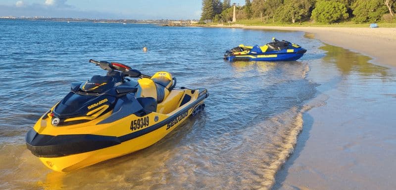 Billet Observation des baleines en jet ski