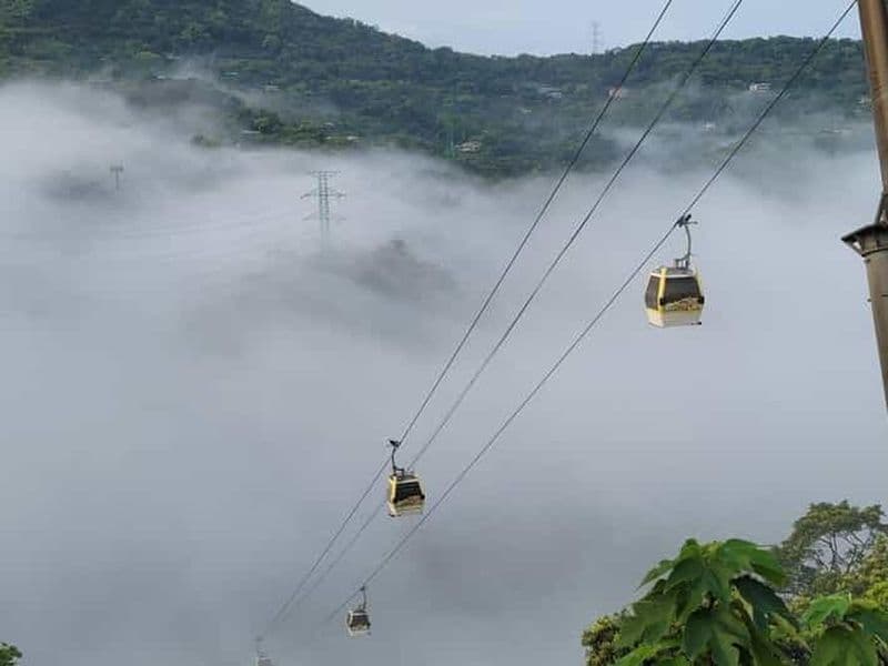 Billet Taipei : zoo, télécabine de Maokong et billet Expérience