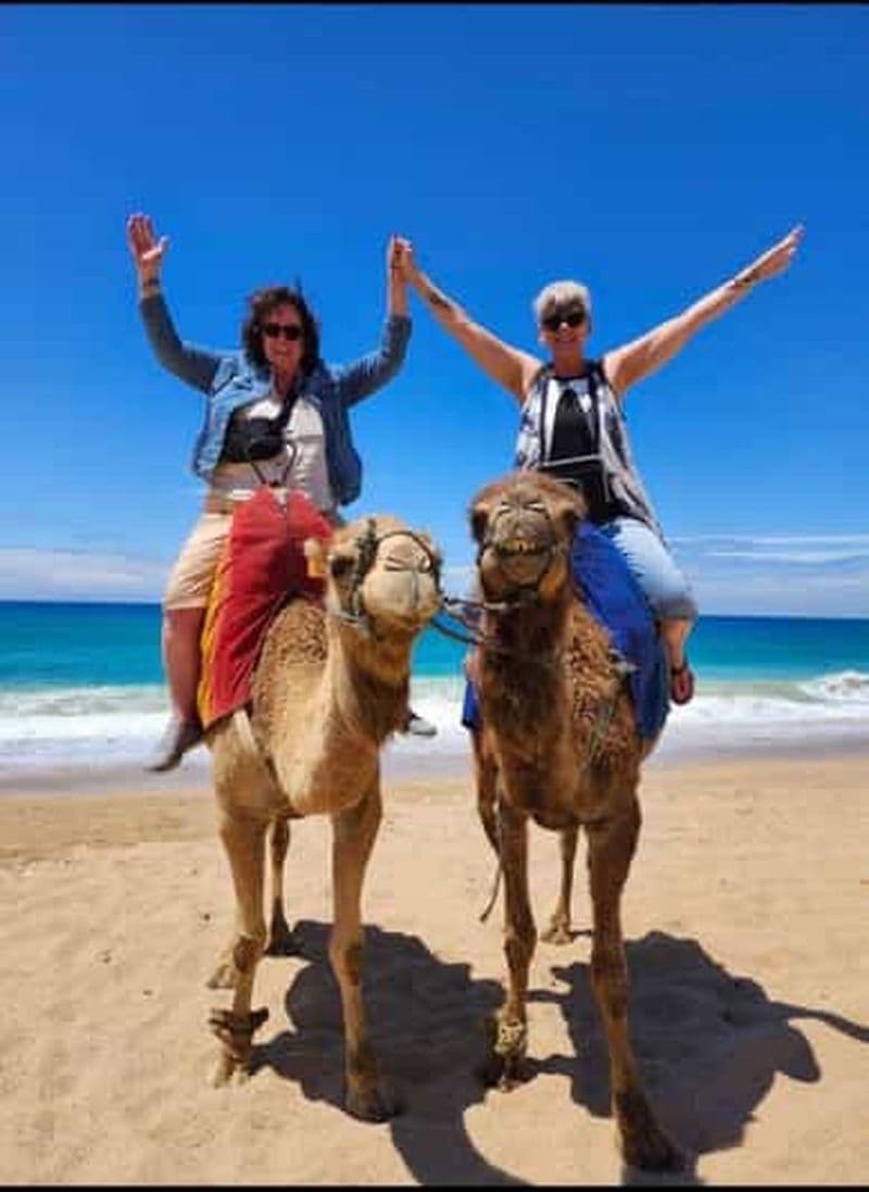 Billet Rayan Tour 4 Heures Visite guidée de luxe de Tanger