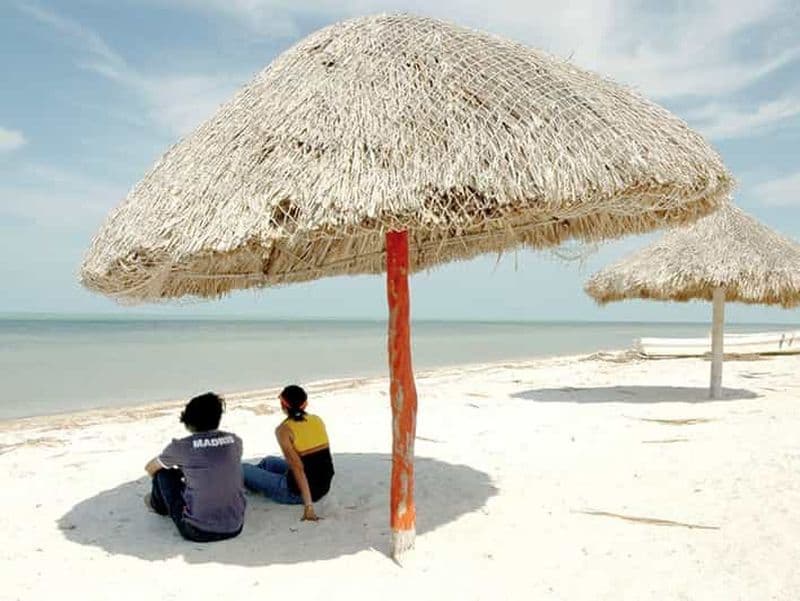 Billet Depuis Campeche : visite privée des flamants roses