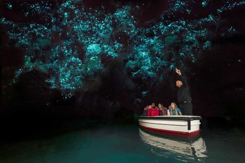 Billet Au départ d'Auckland : Excursion à la journée aux grottes des vers luisants de Waitomo
