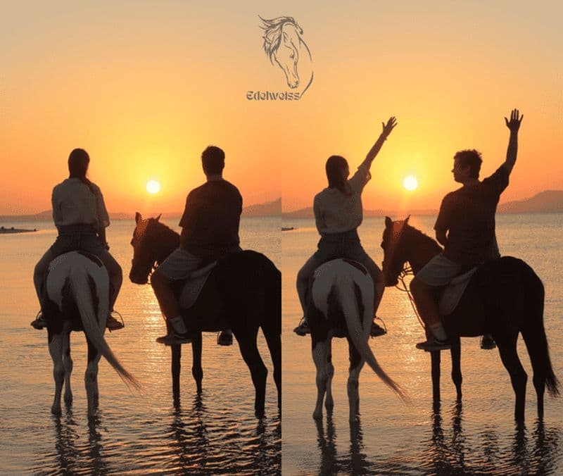 Billet Sharm El Shiekh : Excursion à cheval dans le désert (plage et ville)