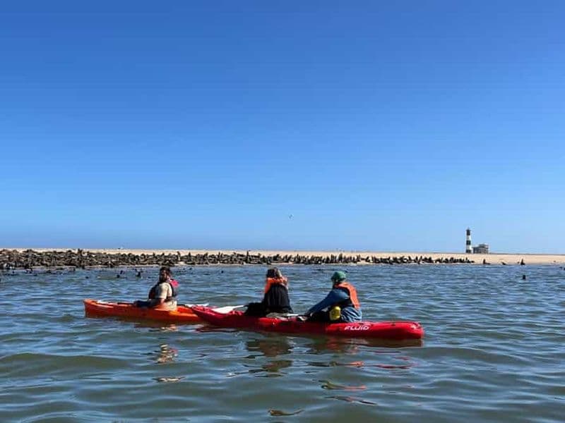 Billet Walvis Bay : Visite d'une jounée en kayak et au port de Sandwich