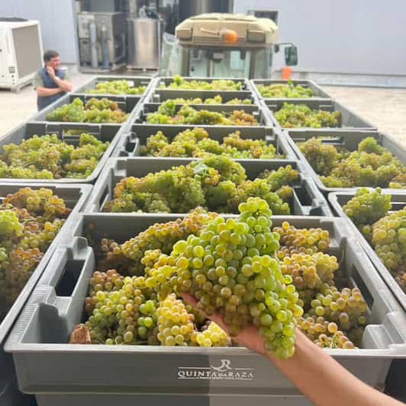 Billet Dégustation exclusive de 5 vins