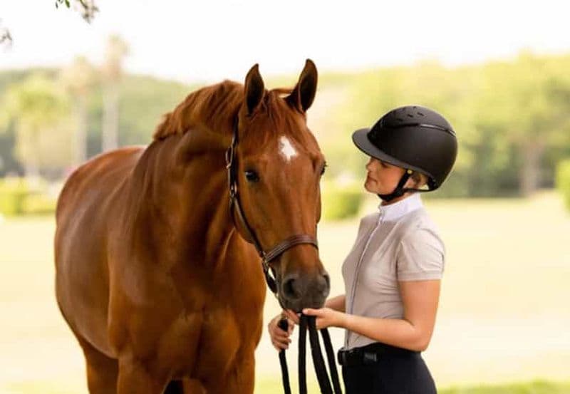 Billet Depuis Tirana : Équitation et vues panoramiques