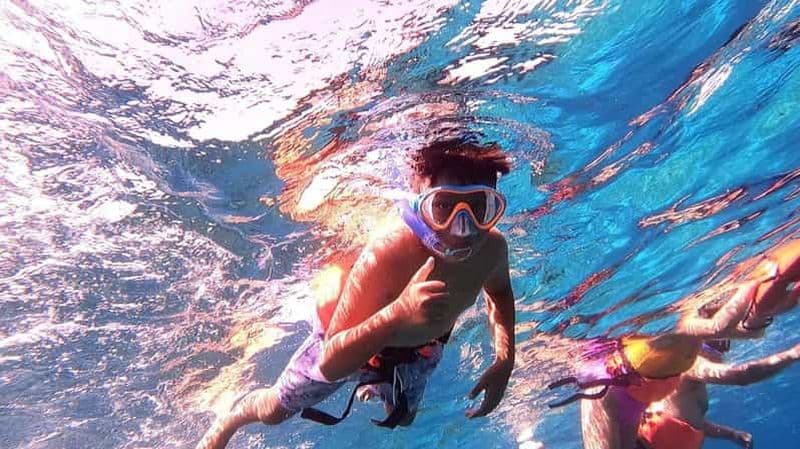 Billet Depuis Cozumel : Pass journalier officiel pour le parc Chankanaab et plongée avec tuba