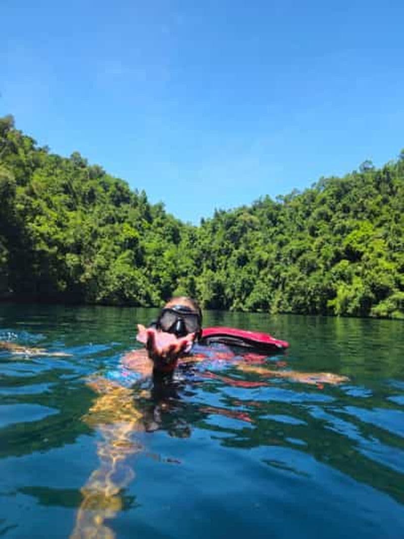 Billet Siargao : excursion à la baie de Sohoton pour observer les méduses, avec déjeuner et prise en charge