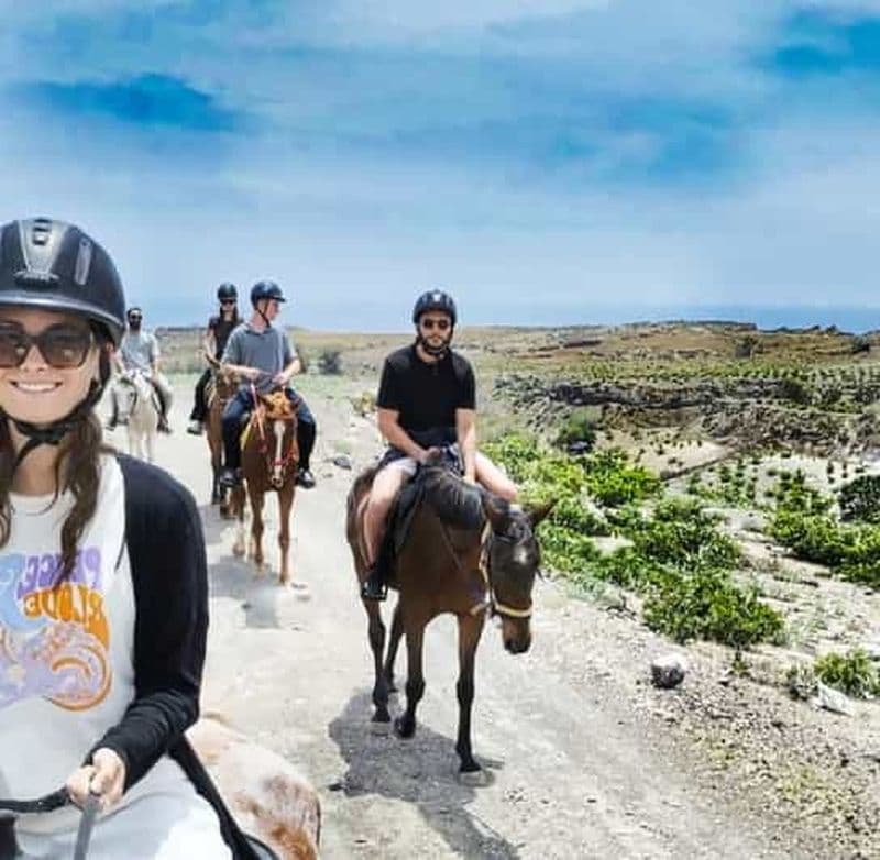 Billet Akrotiri : excursion guidée à cheval d'une journée à la plage