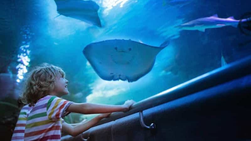 Billet Antalya : aquarium, musée de cire, Snow World et Wild Park - Billet