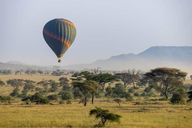 Billet 3 jours de safari de luxe dans le parc d'Amboseli et vol en montgolfière
