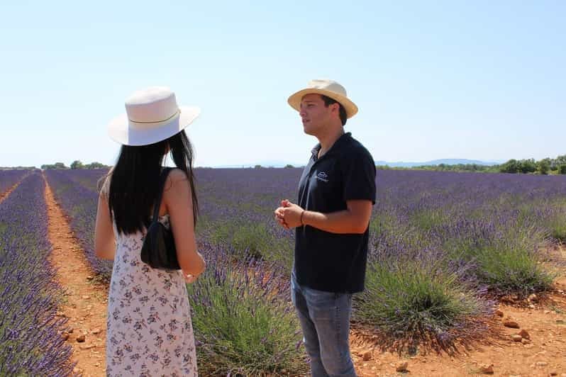 Billet Au départ de Marseille : Visite d'une jounée de la lavande de Valensole