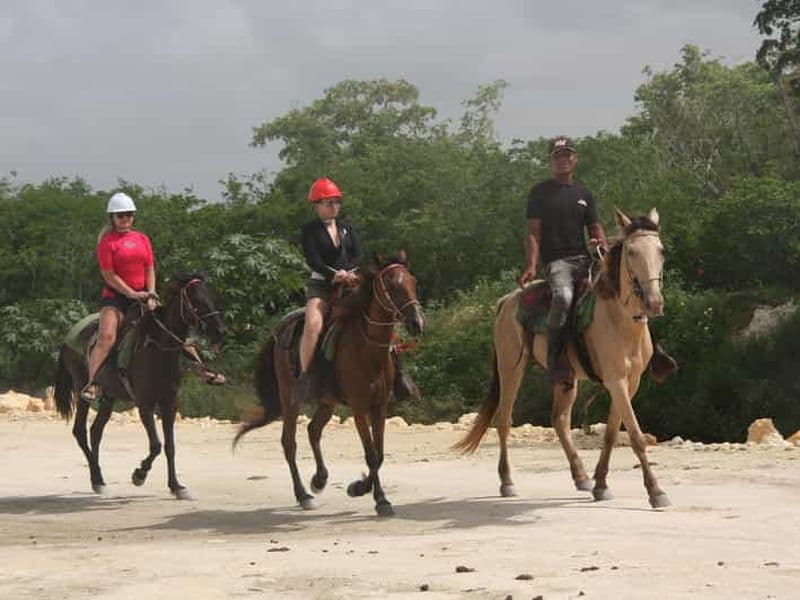 Billet Bayahibe : Randonnée à cheval avec collations locales et rivière
