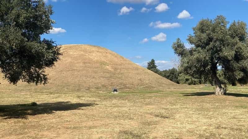 Billet Marathon d'Olvios : un voyage à travers la mémoire et le mythe