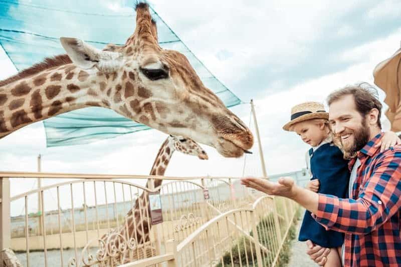 Billet Depuis Cracovie : Excursion au zoo avec transfert privé de luxe