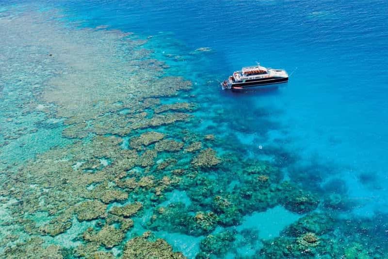 Billet Cairns : Croisière de plongée en apnée sur la Grande Barrière de Corail avec déjeuner