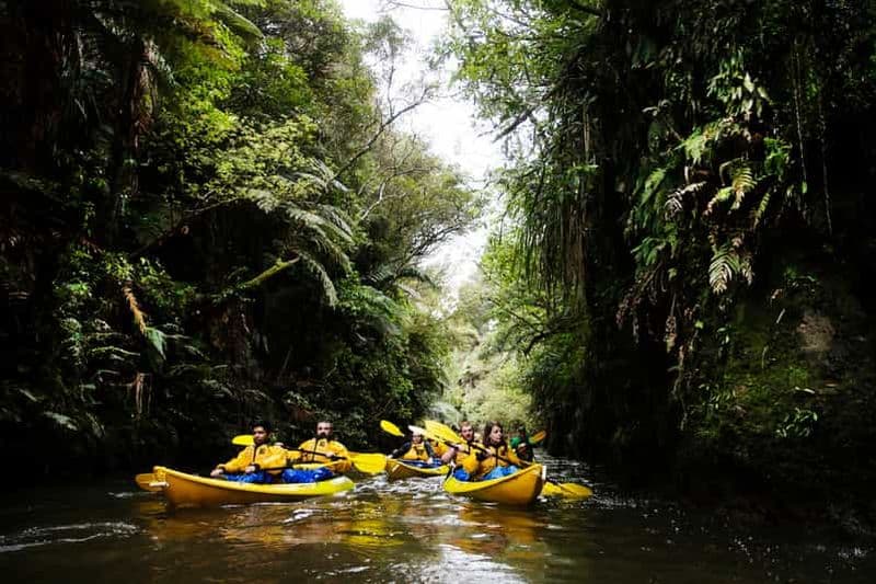 Billet Lac Karapiro : excursion nocturne en kayak sur les vers luisants