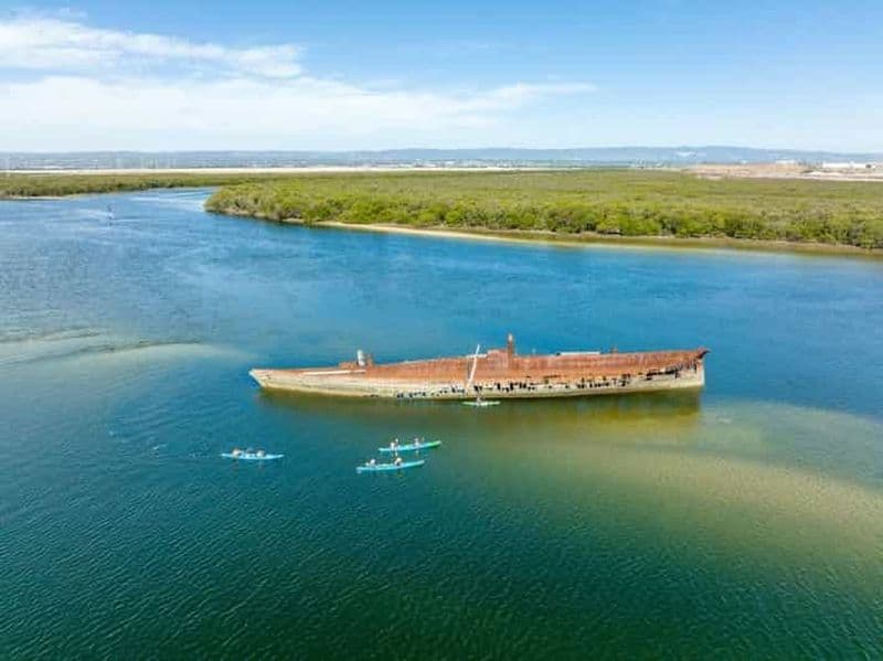 Billet Visite en kayak du sanctuaire des dauphins et du cimetière des navires