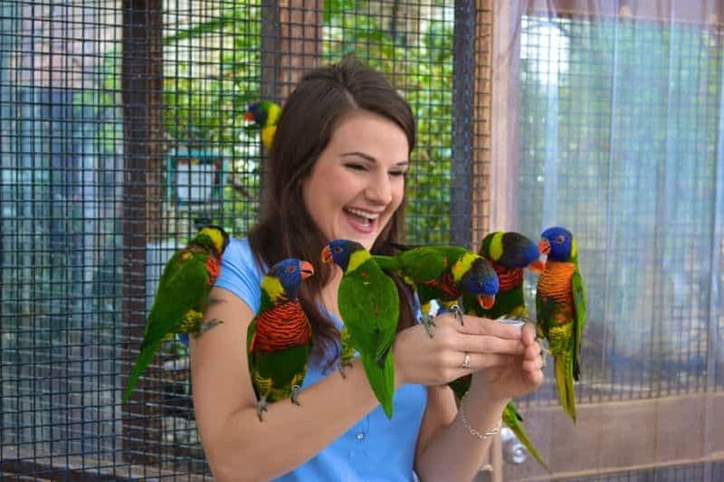 Billet Chutes du Niagara, Canada : Billet d'entrée pour le Royaume des oiseaux