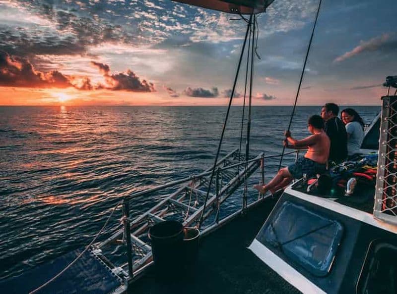 Billet Cairns : Excursion de 2 jours en bateau pour la plongée et le snorkeling sur la Grande Barrière de Corail