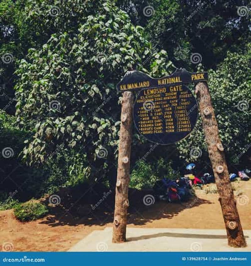 Billet Parc national du Kilimandjaro - Itinéraire Lemosho de 8 jours