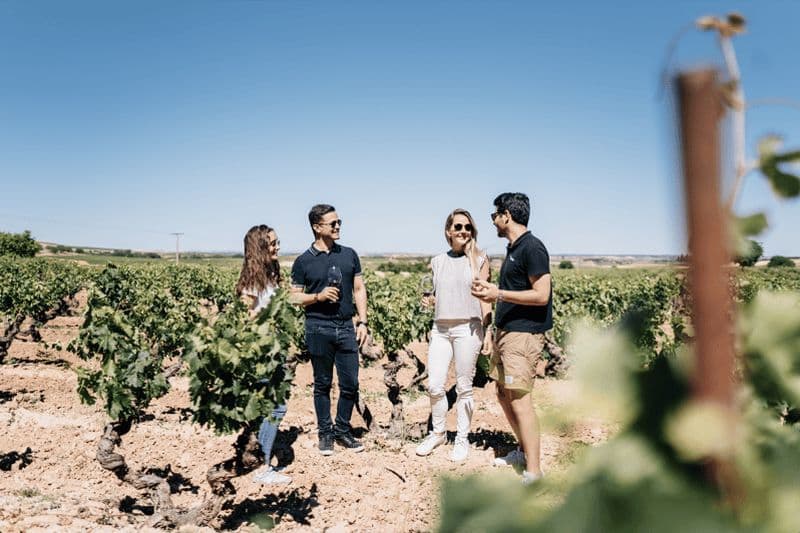 Billet Depuis Madrid : Villages traditionnels, visite de vignobles et déjeuner de tapas