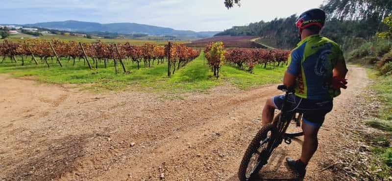 Billet Óbidos : visite en vélo électrique à la Quinta do Gradil avec dégustation de vins