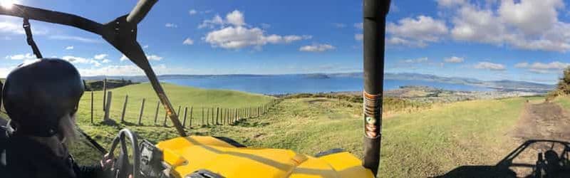 Billet Rotorua : Excursion en buggy 4×4 à travers les fermes et le bush