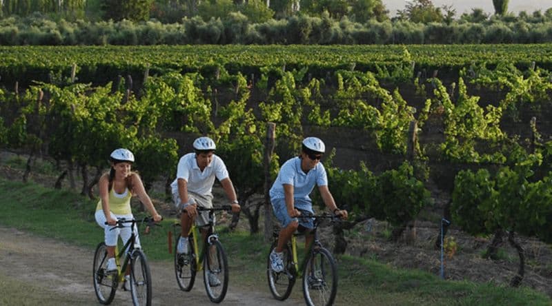 Billet Niagara-on-the-Lake : Excursion à vélo avec dégustation de vins