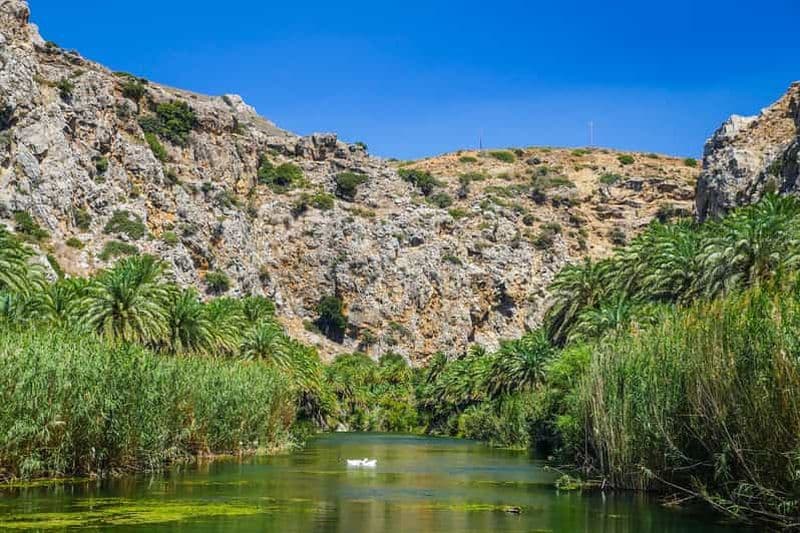 Billet Depuis Réthymnon : Forêt de palmiers de Preveli, Damnoni et Plakias