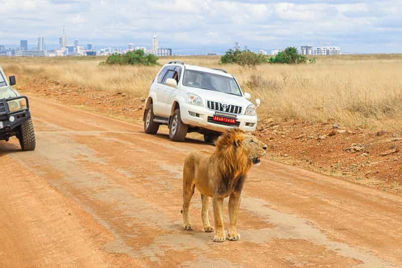 Billet Nairobi : visite privée du parc national en Jeep 4X4