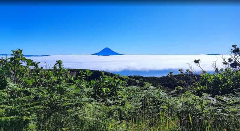 Billet Aventure panoramique sur l'île de São Jorge - Circuit de 4 heures