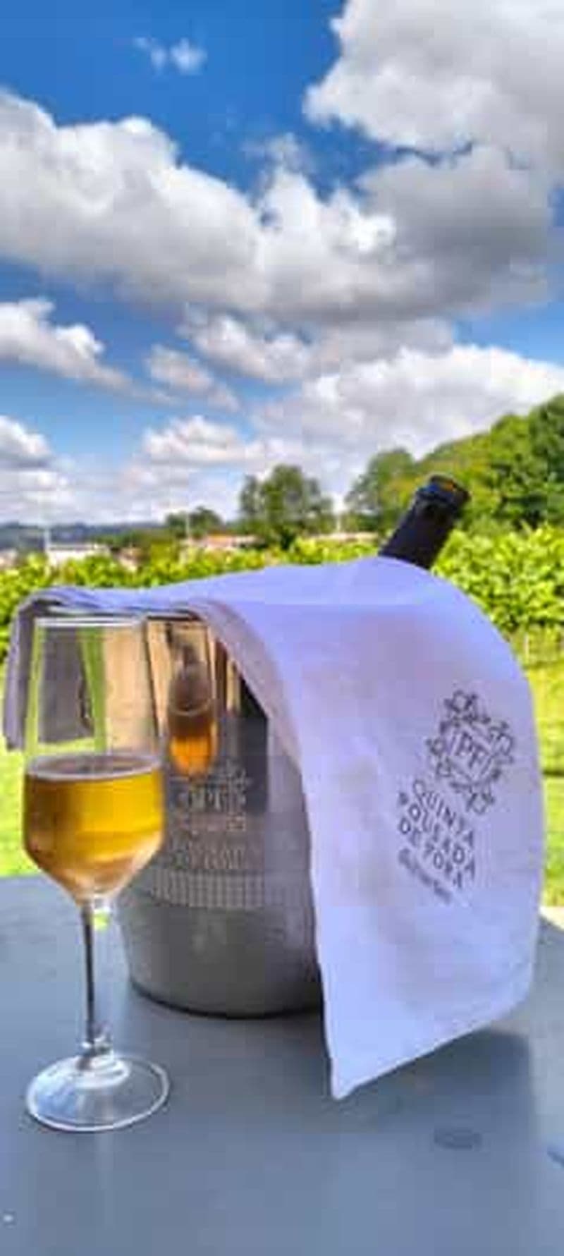 Billet Guimarães : Dégustation de vin privée