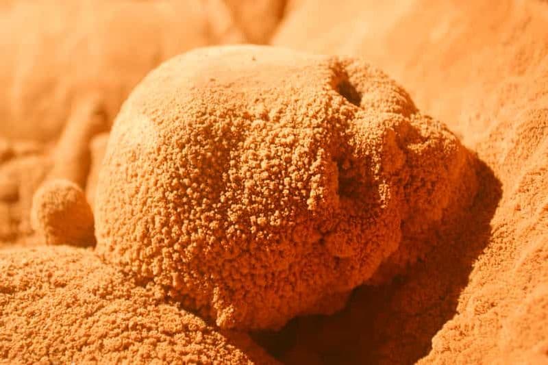 Billet Visite d'une jounée de la grotte d'Actun Tunichil Muknal (ATM) à Belize City