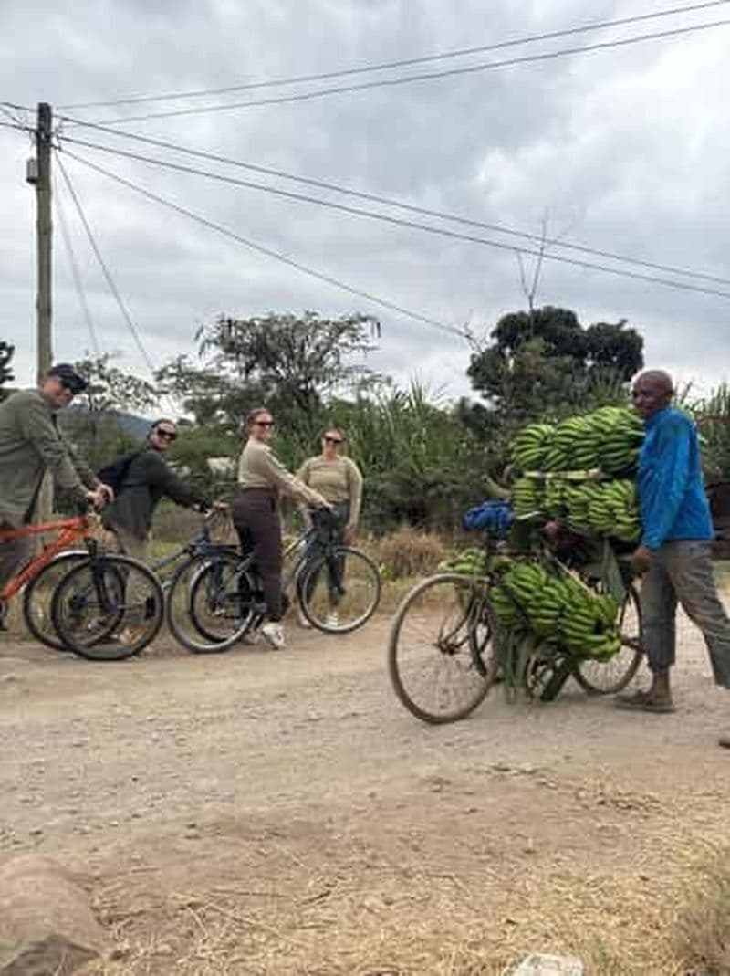 Billet Mto wa Mbu : visite culturelle du village avec visite du marché local