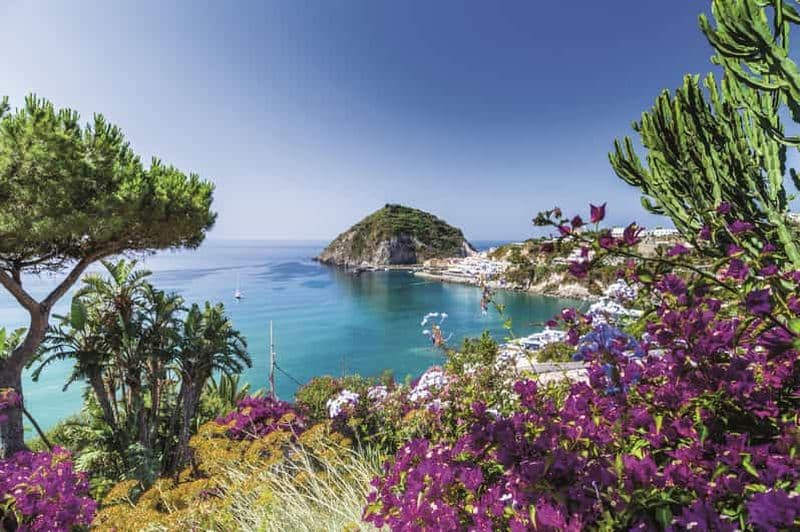 Billet Au départ de Naples : Visite privée de l'île d'Ischia avec déjeuner