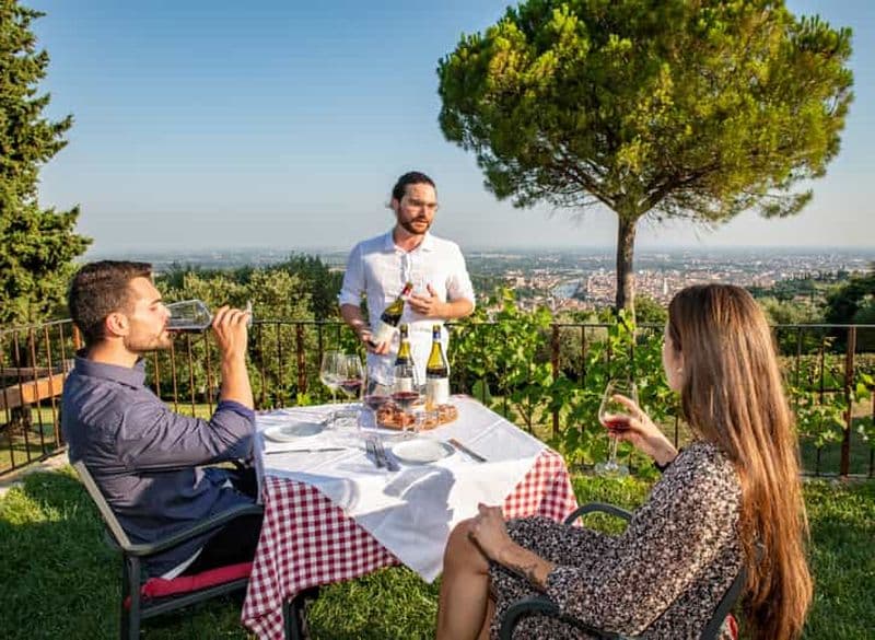 Billet Vérone : Dégustation de vins avec collations et vues panoramiques de la ville
