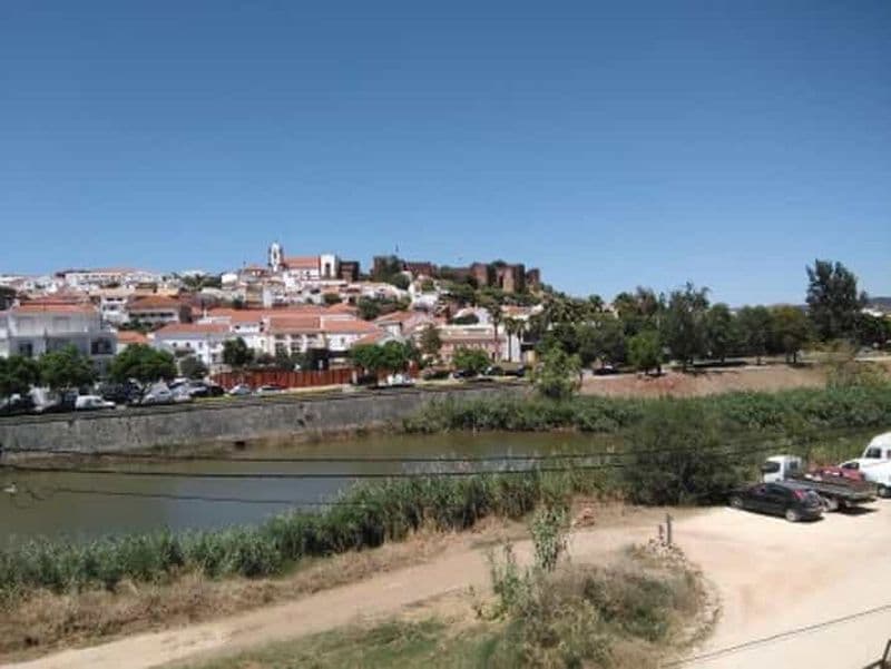 Billet Visite des vignobles de l'Algarve et déjeuner à Silves ou temps libre pour visiter la ville