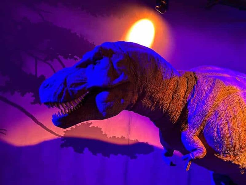 Billet Londres : Musée d'histoire naturelle : visite guidée privée